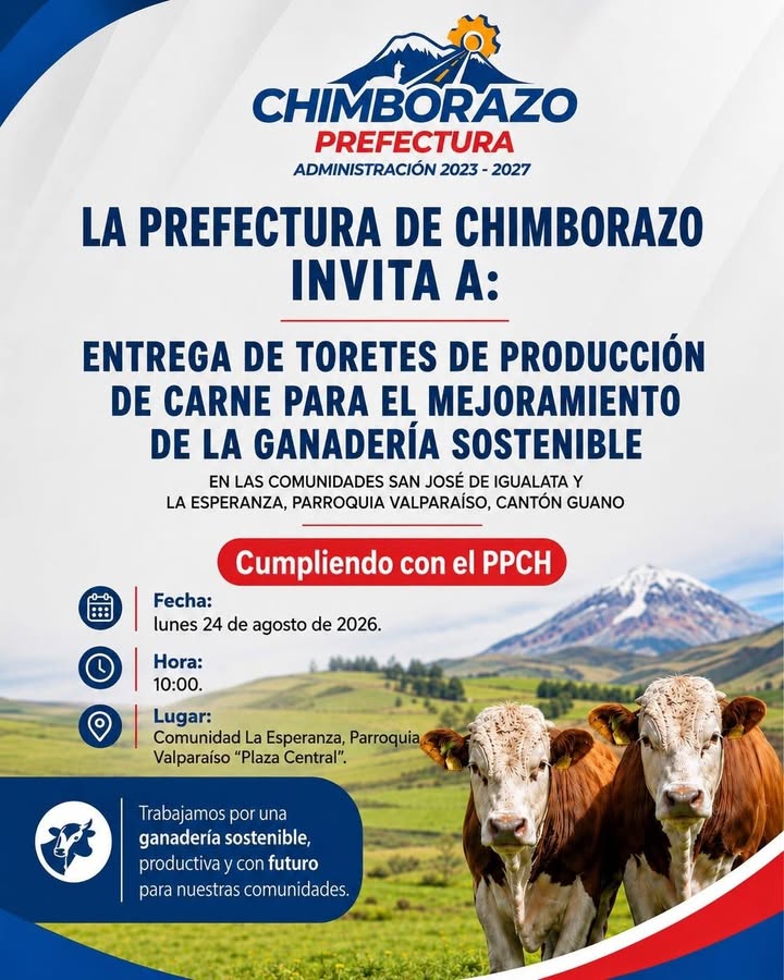 Prefectura de Chimborazo entrega toretes para fortalecer ganadería en Guano