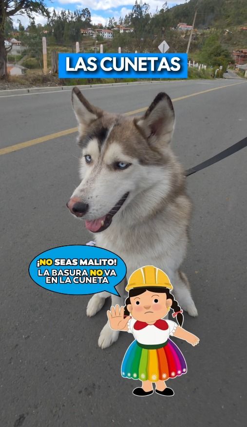 Prefectura de Azuay alerta sobre el impacto de la basura en las cunetas y la vía pública