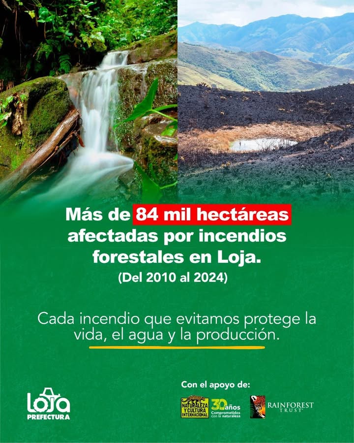 Prefectura de Loja alerta sobre 84 mil hectáreas afectadas por incendios forestales entre 2010 y 2024