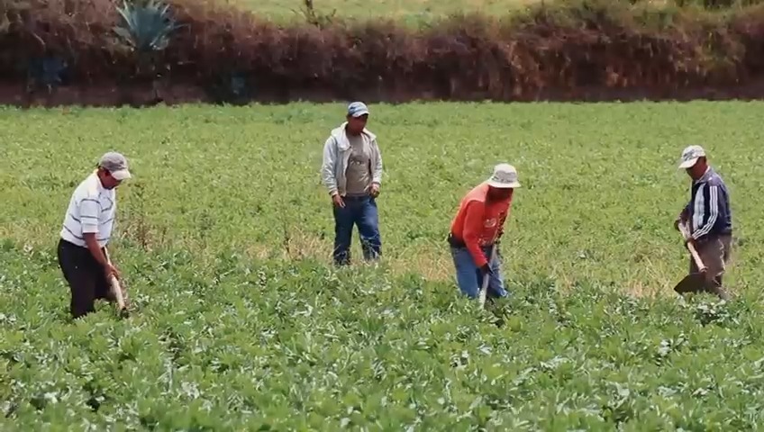 Prefectura del Carchi inaugura 5 centros de acopio para residuos agroquímicos