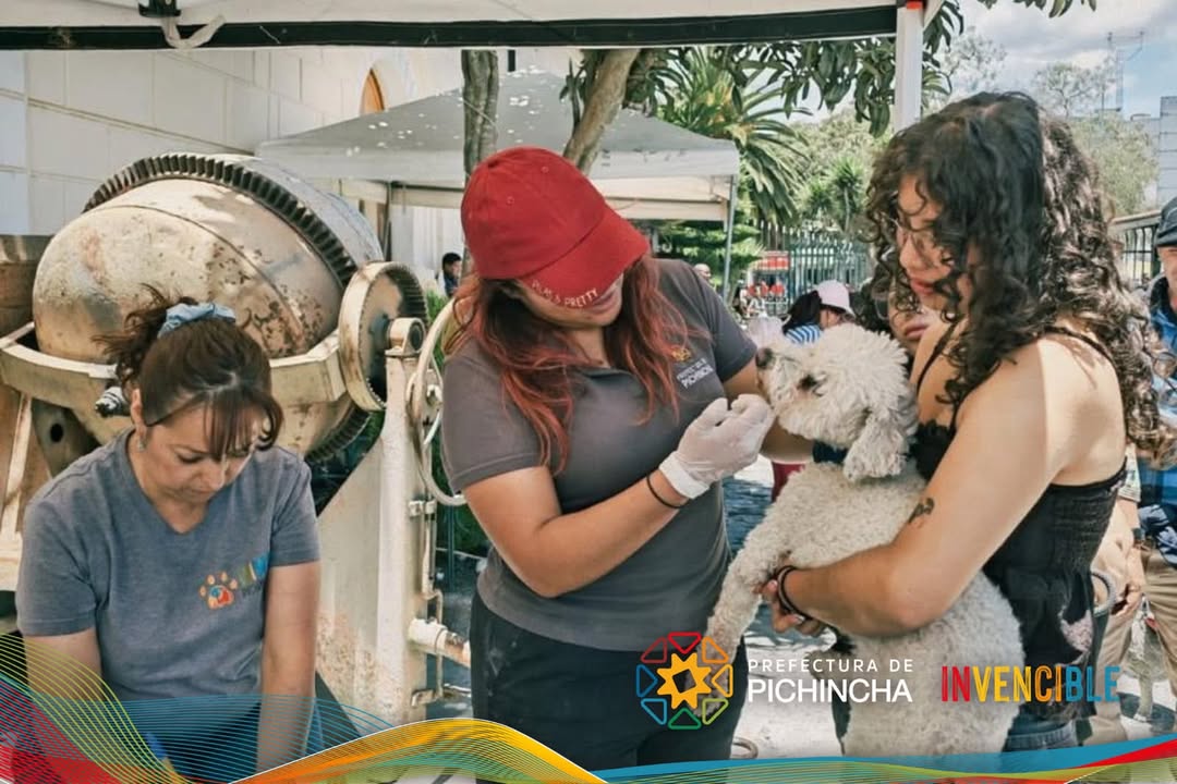 Prefectura de Pichincha atiende a 205 animales en San José de Calderón por Día Mundial