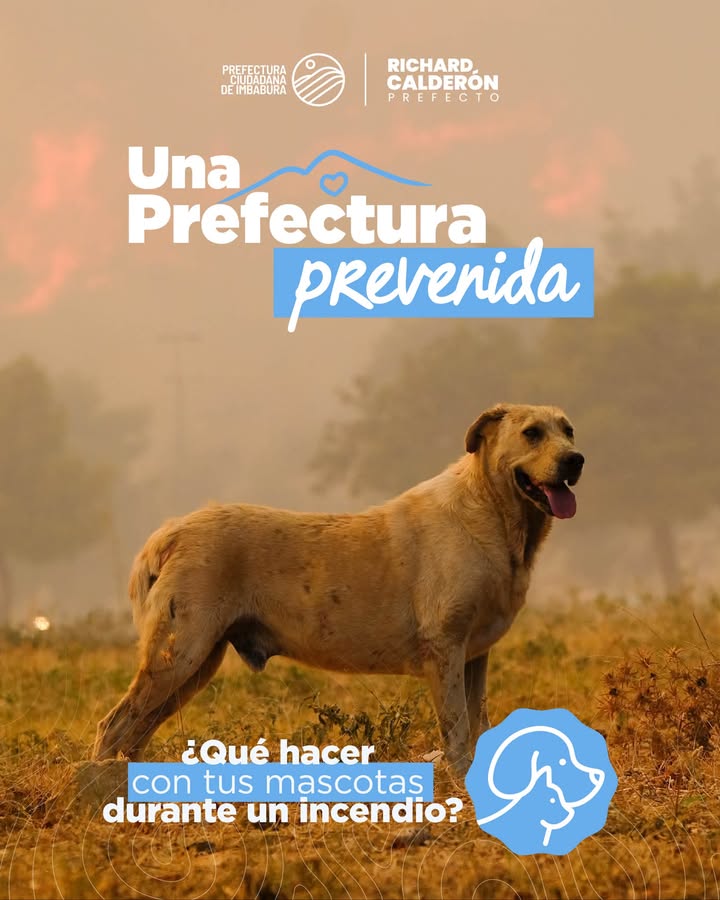 Prefectura de Imbabura lanza campaña de prevención ante incendios y protección animal