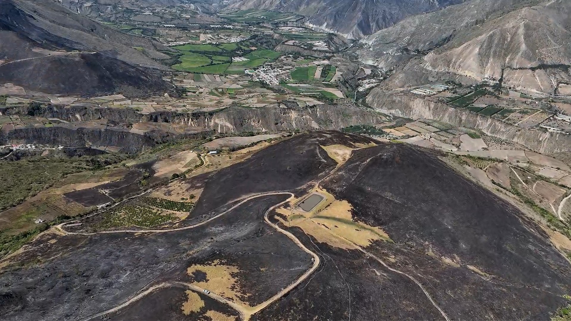 Prefectura del Carchi entrega plantas frutales para reactivar cultivos tras incendios