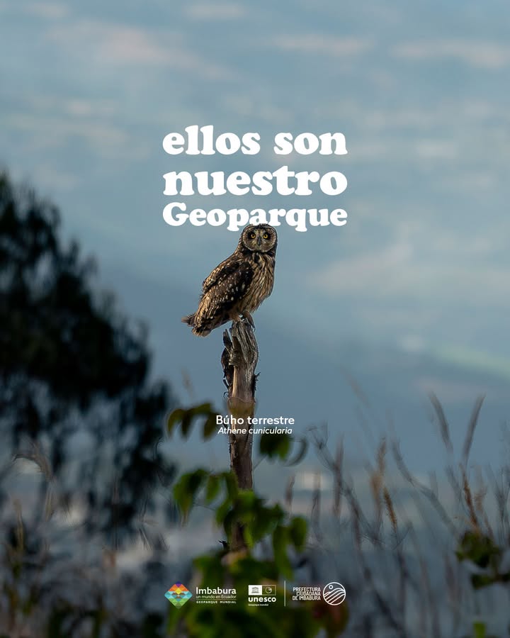 Prefectura de Imbabura destaca fauna silvestre como patrimonio del Geoparque provincial