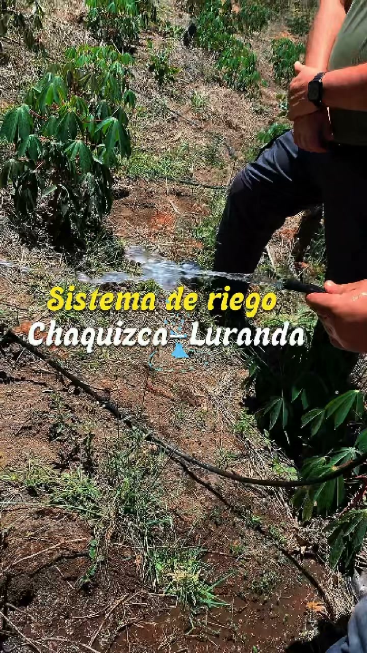 Prefectura de Loja entrega sistema de riego por goteo en Calvas para Chaquizca-Luranda