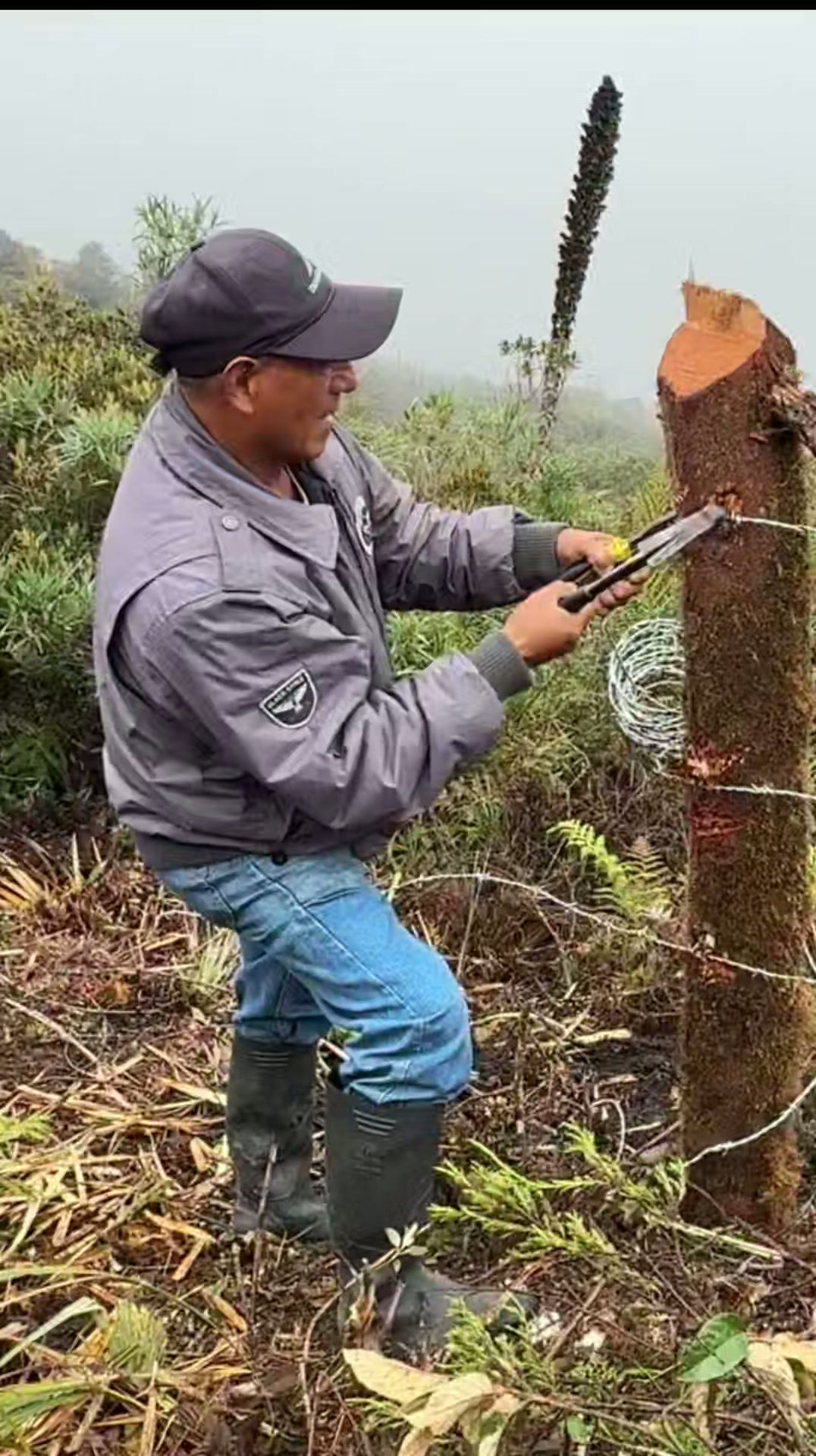 Prefectura de Cañar fortalece protección de vertientes en San Francisco, Rivera
