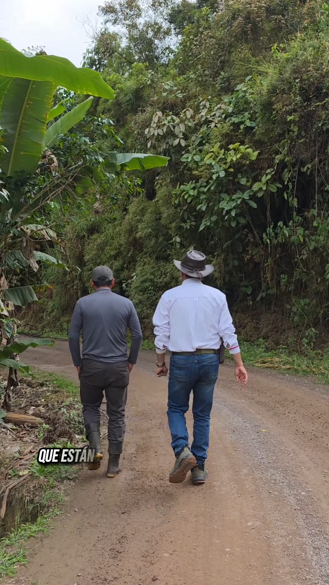 Prefectura de Cañar realiza seguimiento técnico a proyecto porcino en El Rosario