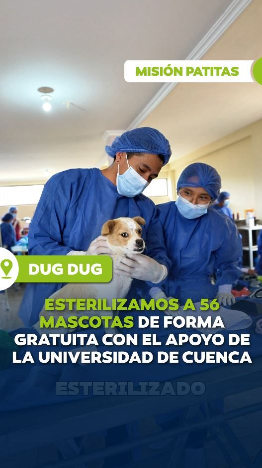 Prefectura de Azuay esterilizó 56 mascotas en Dug Dug bajo Misión Patitas