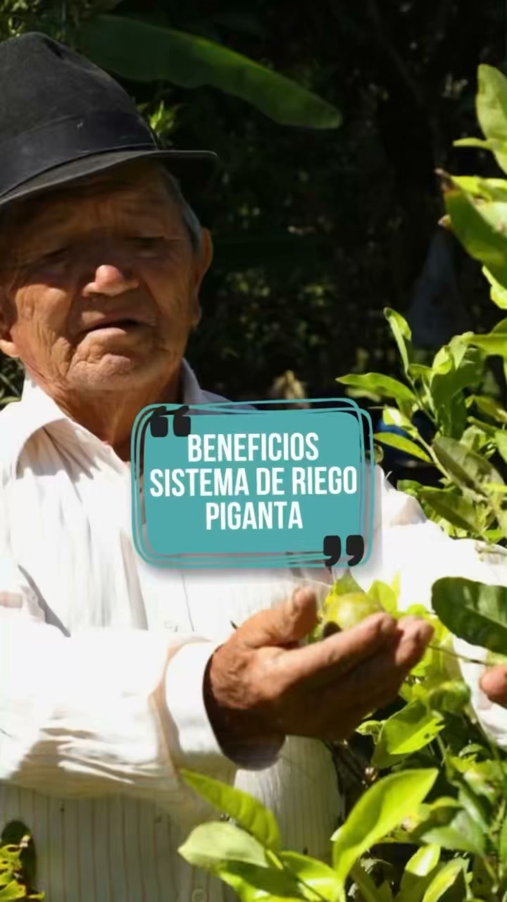 Prefectura de Pichincha impulsa riego en Piganta para 800 hectáreas en cuatro parroquias