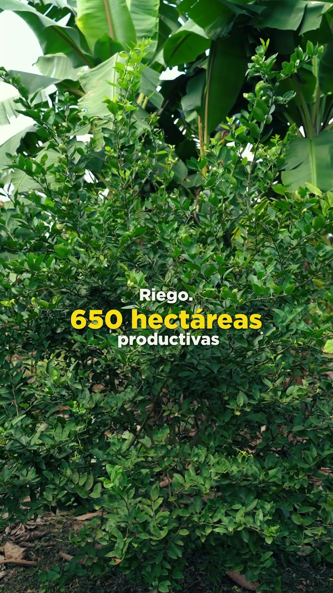 Prefectura de Cañar destaca gestión integral en riego, vialidad y ambiente