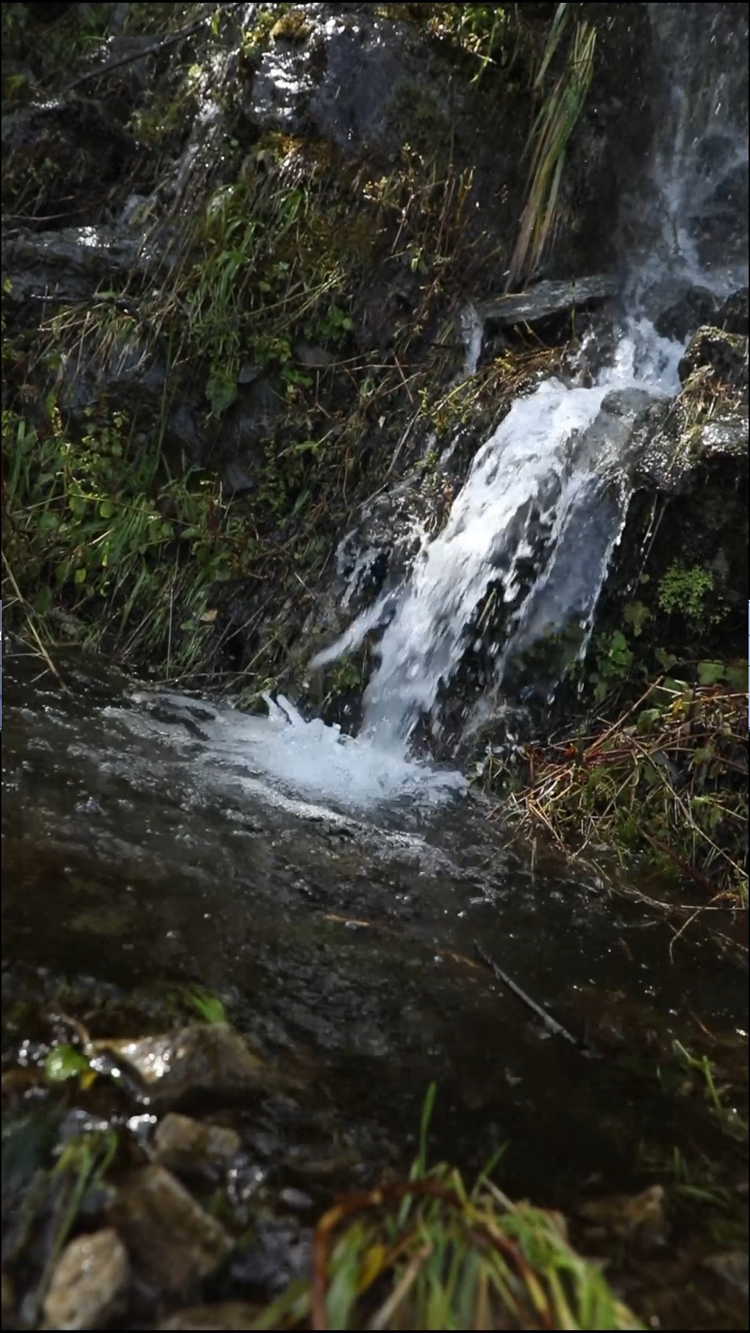 Prefectura de Cañar impulsa turismo sonoro para dinamizar economía provincial