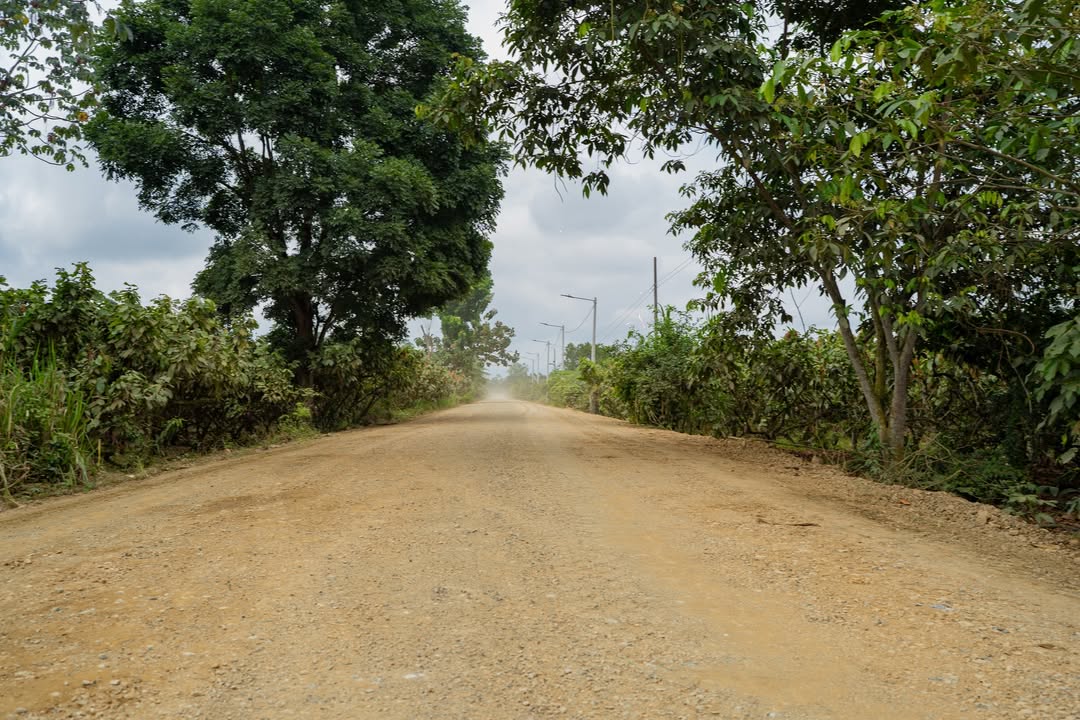 Prefectura de Cañar inicia reconformación vial en La Derivadora - Las Maravillas